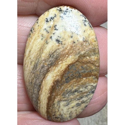 Oval 33x21mm Picture Jasper Cabochon 39