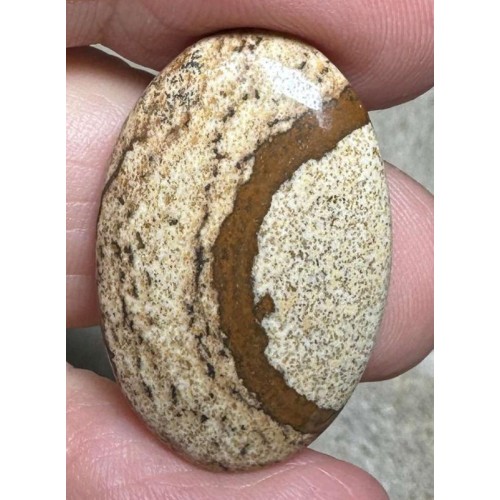 Oval 29x19mm Picture Jasper Cabochon 40