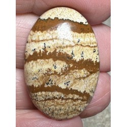 Oval 30x20mm Picture Jasper Cabochon 41