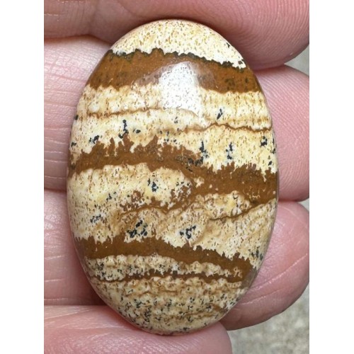 Oval 30x20mm Picture Jasper Cabochon 41