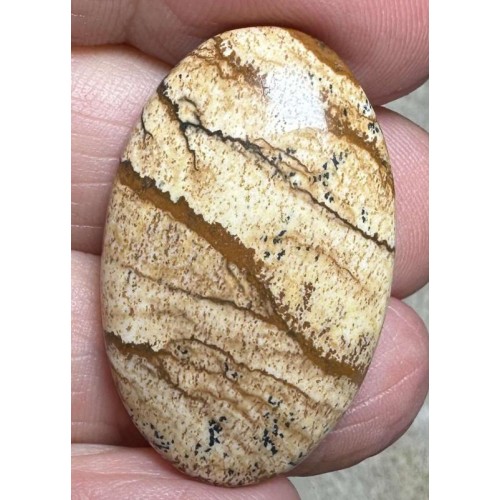 Oval 33x20mm Picture Jasper Cabochon 43