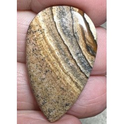 Teardrop 34x20mm Picture Jasper Cabochon 44