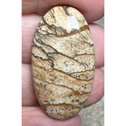 Oval 35x19mm Picture Jasper Cabochon 46