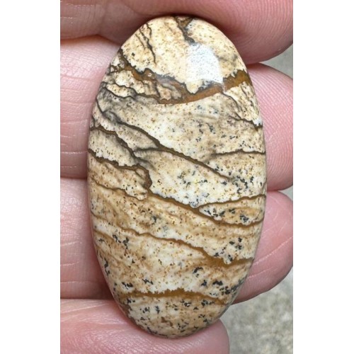 Oval 35x19mm Picture Jasper Cabochon 46