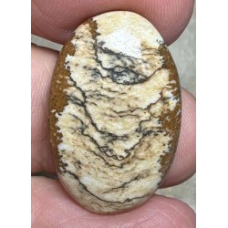 Oval 27x18mm Picture Jasper Cabochon 47