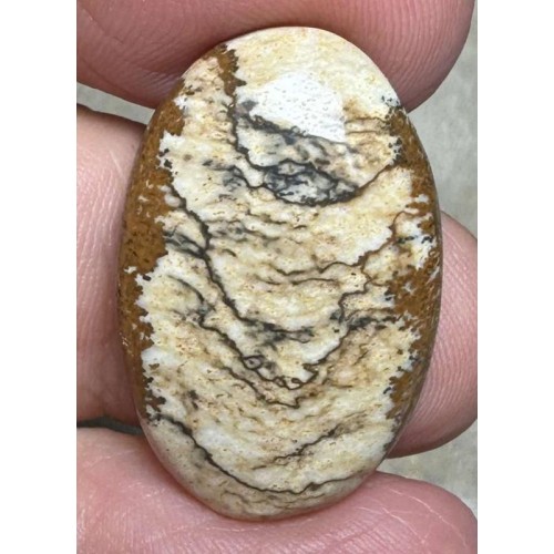 Oval 27x18mm Picture Jasper Cabochon 47