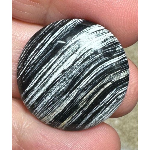 Round 25x25mm Silver Leaf Jasper Cabochon 17