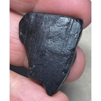 Freeform 33x25mm Raw Whitby Jet Specimen 27