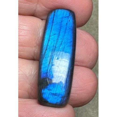 Freeform 36x12mm Natural Blue Labradorite Cabochon 248