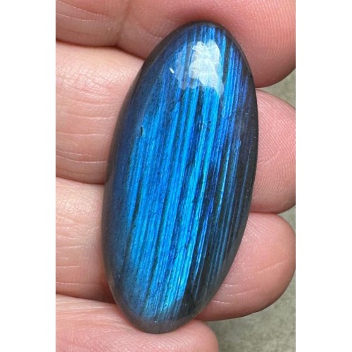 Oval 38x17mm Natural Blue Labradorite Cabochon 259