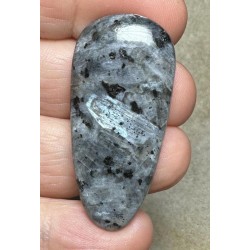 Freeform 43x20mm Larvikite Cabochon 33