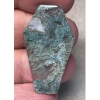 Coffin 38x22mm Lichen in Quartz Cabochon 32