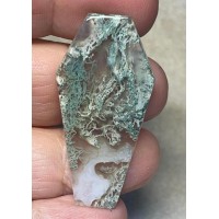 Coffin 43x22mm Lichen in Quartz Cabochon 34