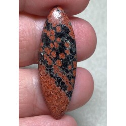Marquise 40x13mm Mexican Flower Obsidian Cabochon 18
