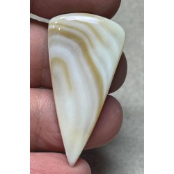 Freeform 41x21mm Mother of Pearl Cabochon 15