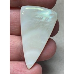 Freeform 41x24mm Mother of Pearl Cabochon 25