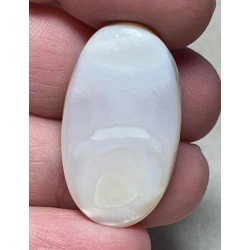 Oval 33x19mm Mother of Pearl Cabochon 26