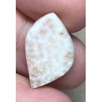 Freeform 23x14mm Natrolite Cabochon 20