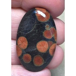Oval 35x22mm Peanut Obsidian Cabochon 28