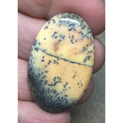 Oval 40x25mm Sunset Coloured Dendritic Opal Cabochon 88