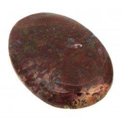 Oval 37x25mm Palm Agate Cabochon 02