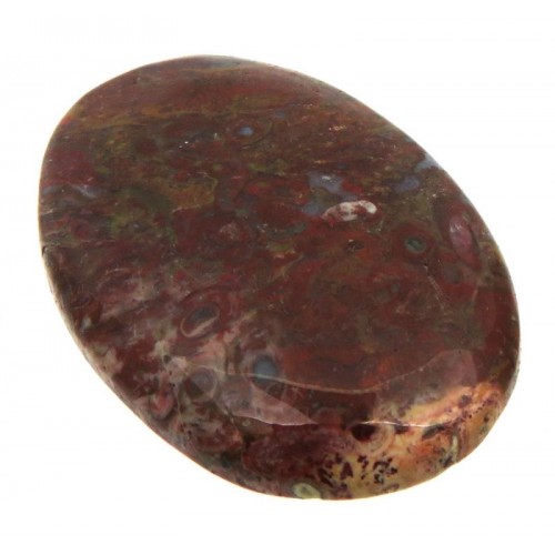 Oval 37x25mm Palm Agate Cabochon 02