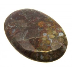 Oval 39x26mm Palm Agate Cabochon 04