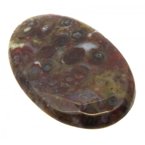 Oval 36x23mm Palm Agate Cabochon 09