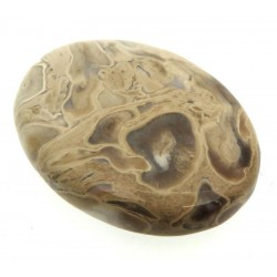 Oval 32x25mm Indonesian Palm Root Cabochon 02