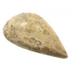 Teardrop 46x28mm Indonesian Palm Root Cabochon 05