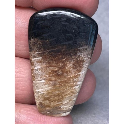 Freeform 41x25mm Indonesian Palm Root Cabochon 06