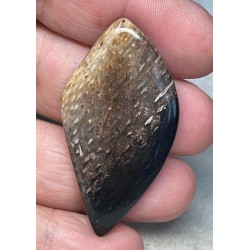 Freeform 47x25mm Indonesian Palm Root Cabochon 19