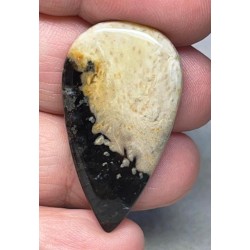 Teardrop 38x20mm Indonesian Palm Root Cabochon 28