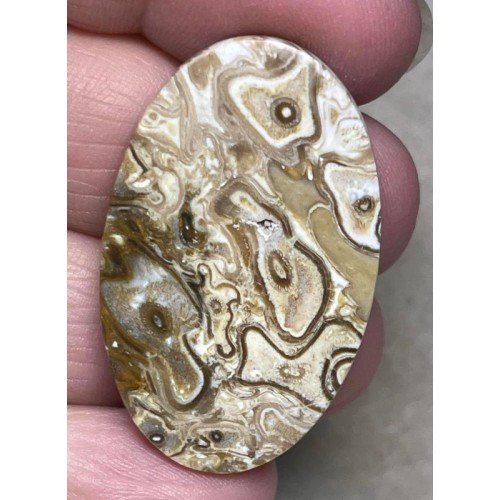 Oval 39x24mm Agatised Palm Root Cabochon 02