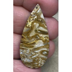 Teardrop 44x20mm Agatised Palm Root Cabochon 23