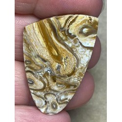 Freeform 38x25mm Agatised Palm Root Cabochon 38