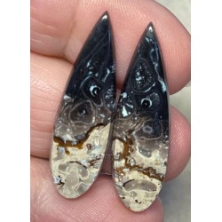 Teardrop 35x10mm Indonesian Palm Root Cabochon Pair 14