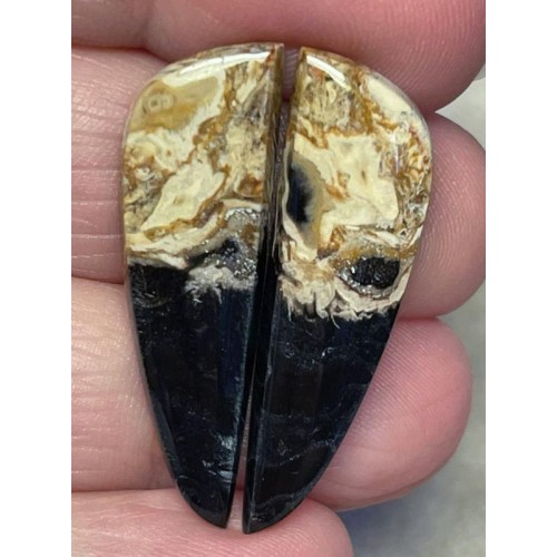 Freeform 33x10mm Indonesian Palm Root Cabochon Pair 22