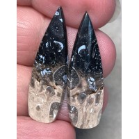 Teardrop 35x11mm Indonesian Palm Root Cabochon Pair 28
