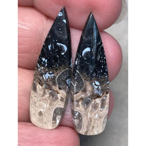 Teardrop 35x11mm Indonesian Palm Root Cabochon Pair 28
