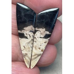 Freeform 37x11mm Indonesian Palm Root Cabochon Pair 29