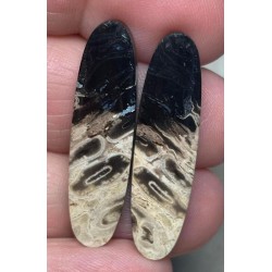 Oval 35x9mm Indonesian Palm Root Cabochon Pair 36