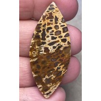 Marquise 49x21mm Petrified Pocket Root Cabochon 14