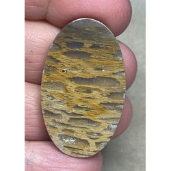 Oval 38x23mm Petrified Pocket Root Cabochon 17
