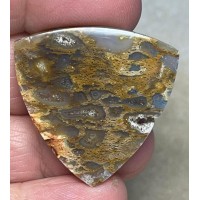 Freeform 33x34mm Petrified Pocket Root Cabochon 22