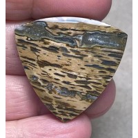 Freeform 31x32mm Petrified Pocket Root Cabochon 24