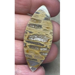 Marquise 48x20mm Petrified Pocket Root Cabochon 30