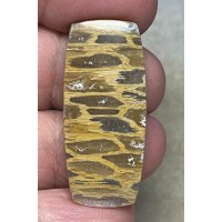 Freeform 38x17mm Petrified Pocket Root Cabochon 31