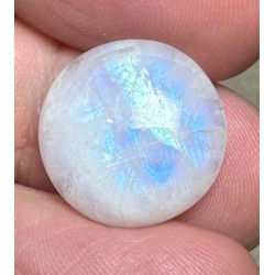 Round 16x16mm Rainbow Moonstone Cabochon 79