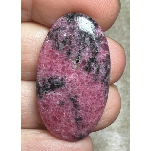 Oval 36x20mm Rhodonite Cabochon 22